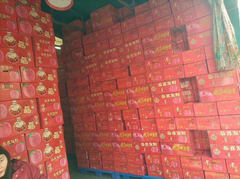 商贸风向标：迎星商贸引领未来之路